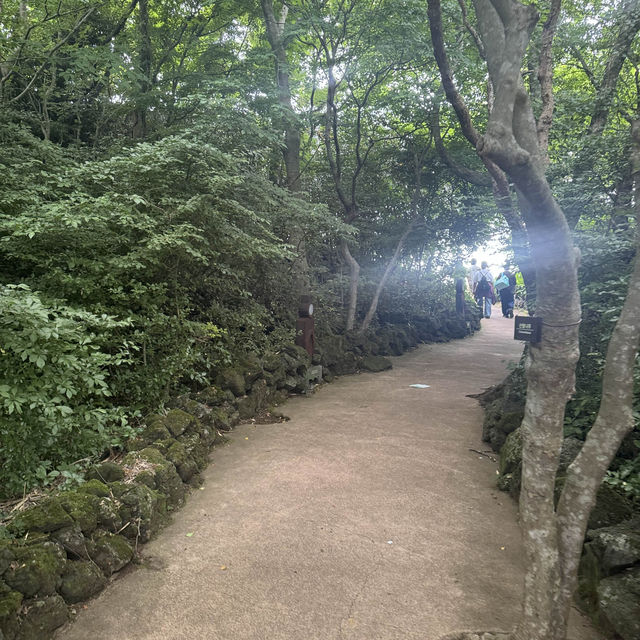볼거리와 예쁜 포토스팟이 정말 가득한 돌문화 공원 ! 🗿