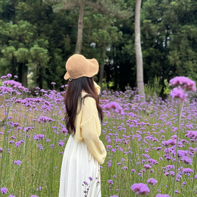 비오는 날에 방문해도 아름다운 감성 카페 ✨