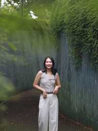 Fort Canning Tree Tunnel in Singapore