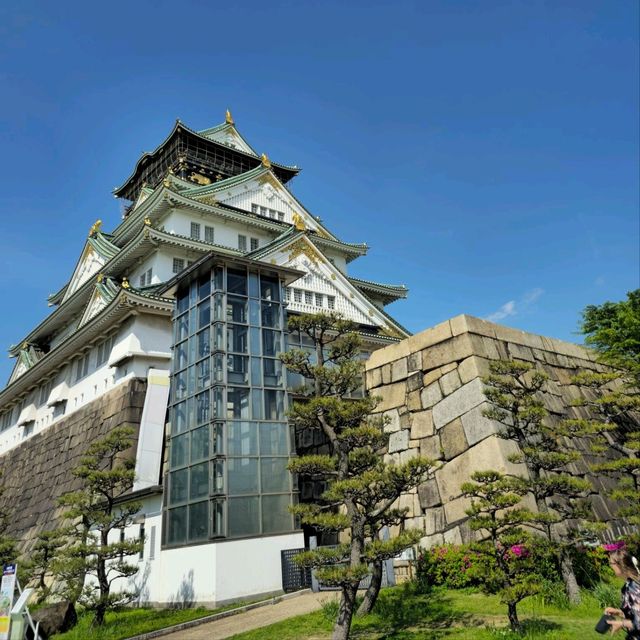 일본여행 오사카 성 산책