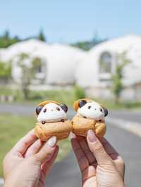 【和歌山】和歌山といえばここ！ぽこぽこドームがかわいいとれとれヴィレッジ🐼🌳 