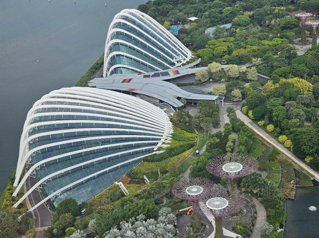 Singapore vs. Malaysia (I initially thought these were very similar countries)
