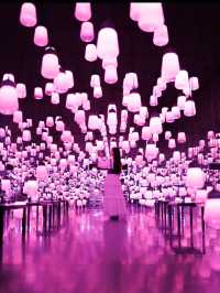 季節ごとに色が変わる💡ランプの森💡