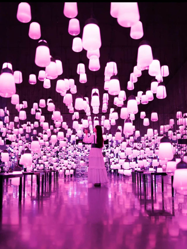 季節ごとに色が変わる💡ランプの森💡