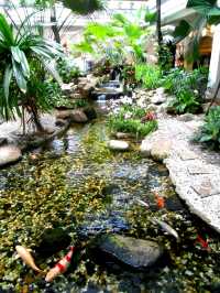 Hidden Garden Oasis with Koi Fish