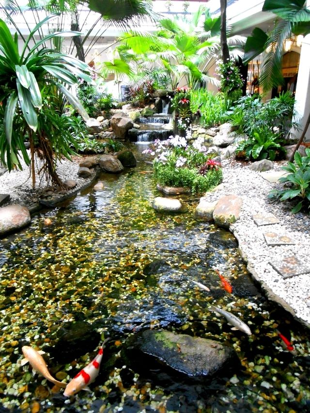 Hidden Garden Oasis with Koi Fish