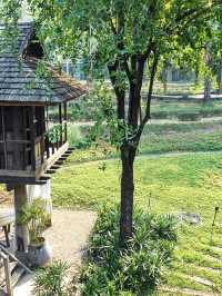 Romantic Dining In the Paddy Fields 