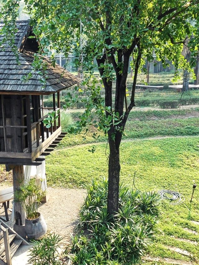 Romantic Dining In the Paddy Fields 