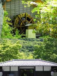 【界 川治】栃木旅🌿里山で暮らすような旅