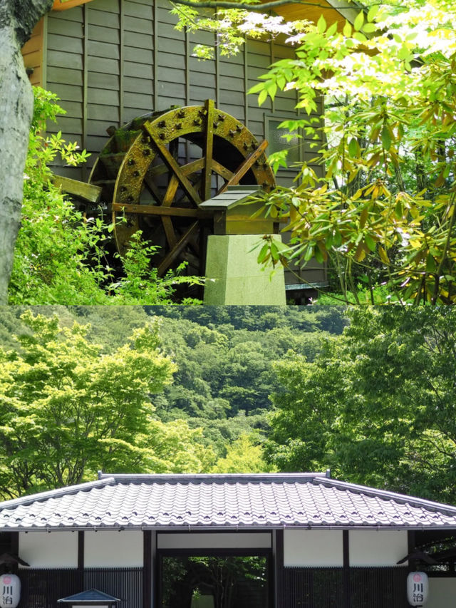 【界 川治】栃木旅🌿里山で暮らすような旅