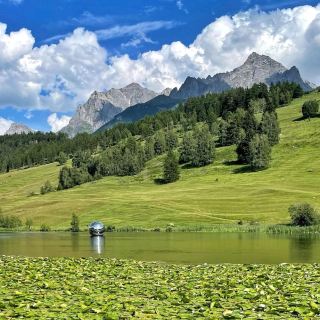 Taraspsee