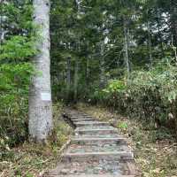Nice自然公園：寧靜美景，享受快樂時光