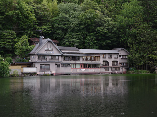 🇯🇵福岡 由布院金鱗湖：清晨時分 感受金色光影奇景