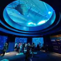 A Splashing Good Time at SEA Aquarium Sentosa