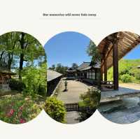 伽耶院：古老寺院庭園，心靈淨化