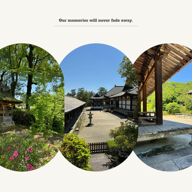 伽耶院：古老寺院庭園，心靈淨化