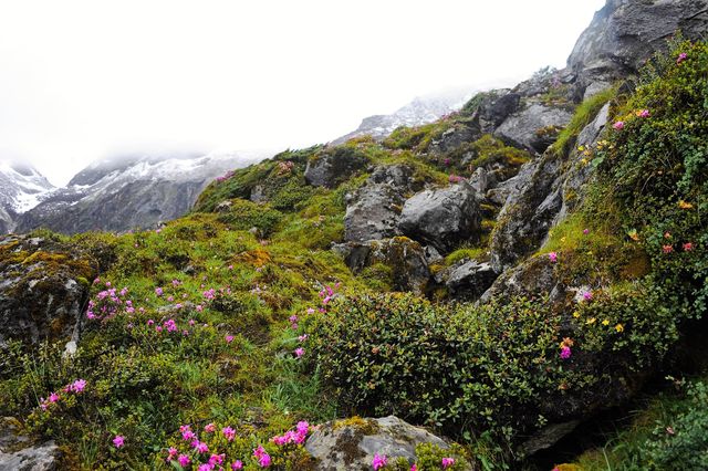 Bhutan at Glance