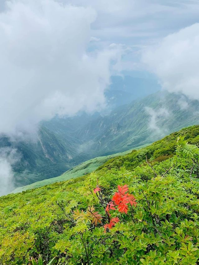 Mount Tanigawa 