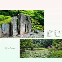 東京後樂園美麗日式庭園