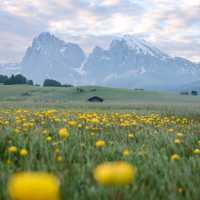 Dolomites สวยใจละลาย