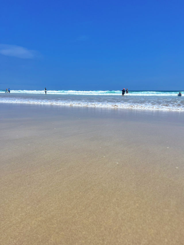 【伊豆】ココは南国!?透明度バツグンなビーチ🏖