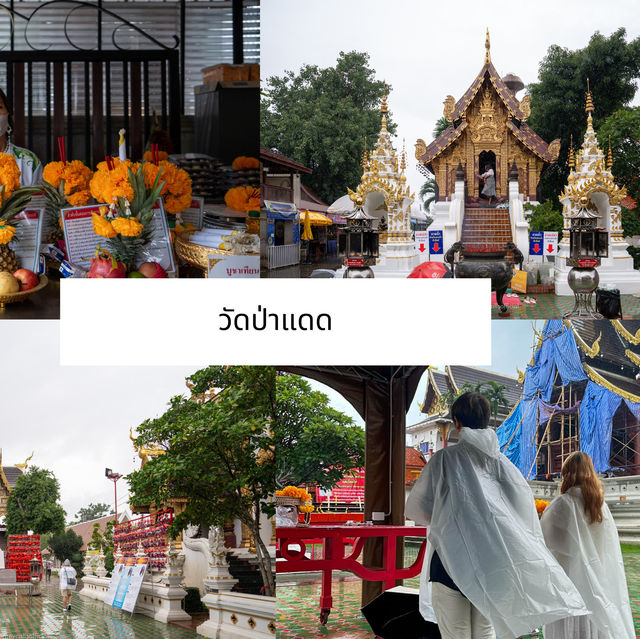 แพลนเที่ยวเชียงใหม่หน้าฝน 3 วัน 2 คืน