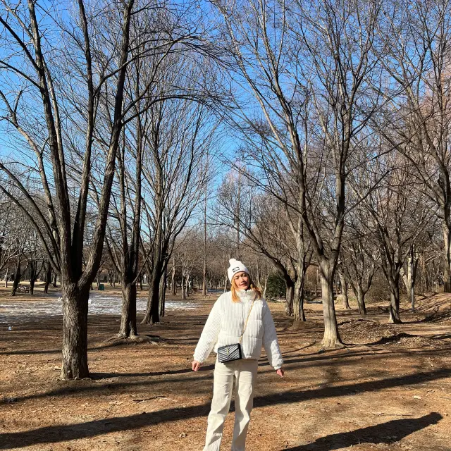 韓國4天3夜之旅