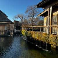  มาชมวิวภูเขาไฟฟูจิ ที่ยามานาชิ