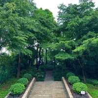 廣州二沙島宏城公園：自然寶地，放鬆心靈的理想去處！