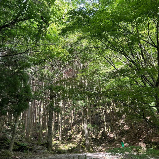 考索國家公園：原始自然生態～世外桃源