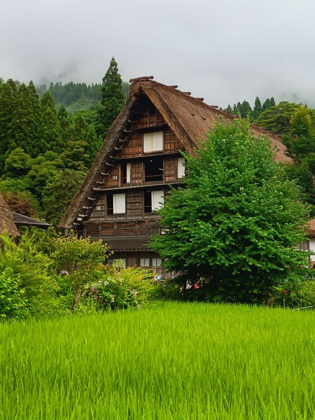 Ainokura & Shirakawago Village + Kamikochi