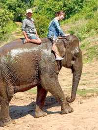 【🇱🇦ラオス】ルアンパバーンで絶対やりたい事❣️象使いのライセンス取得ツアー🐘