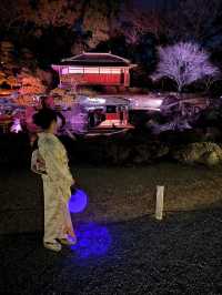 〜京都府〜世界遺産二条城桜まつり