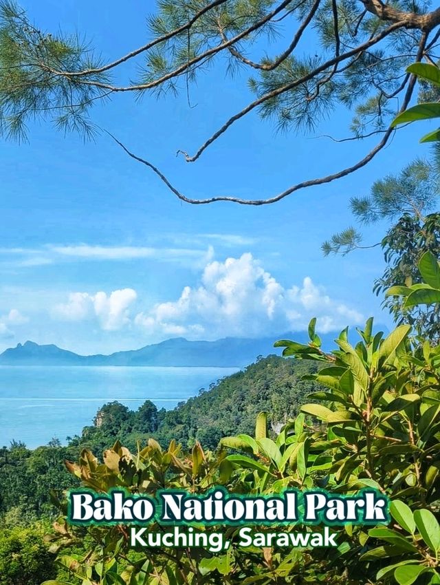 An awesome place in Sarawak for nature & wildlife experience