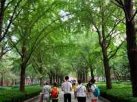 Lama Temple Beijing China