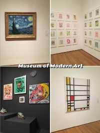 The Best Art Museums in New York City 🇺🇸