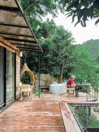 🌿Stay Wild & Café ที่พักและคาเฟ่ริมลำธารเชียงใหม่