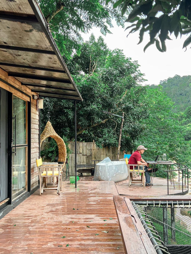 🌿Stay Wild & Café ที่พักและคาเฟ่ริมลำธารเชียงใหม่