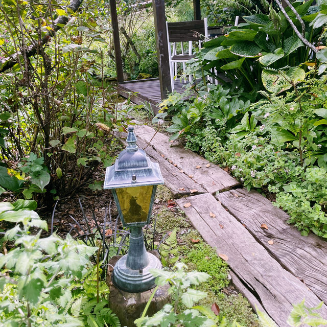 【長野県/茅野　森の中にいるような🌿オシャレなイタリアンレストラン🍽️】