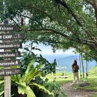 View camp