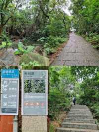 🇨🇳 Xiutong Hiking Trail 📍 Wutong Mountain, Shenzhen 