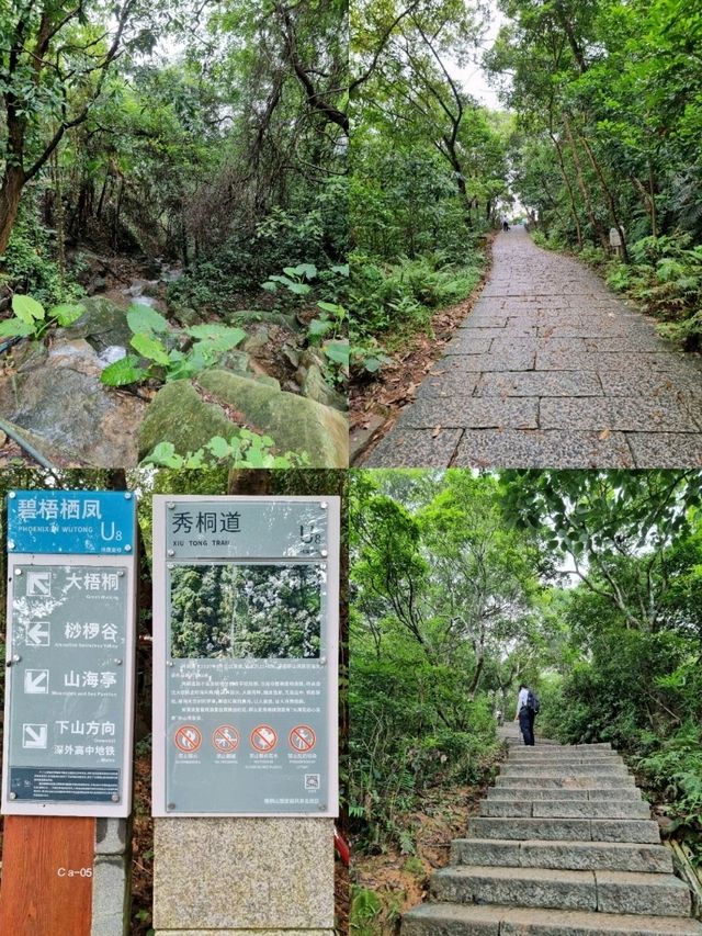 🇨🇳 Xiutong Hiking Trail 📍 Wutong Mountain, Shenzhen 