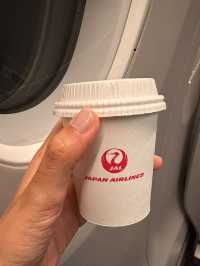JAL531搭乗記