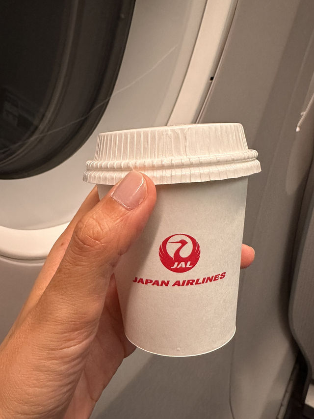 JAL531搭乗記