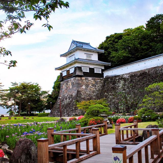 🇯🇵長崎｜西日本第一花見名所．大村公園