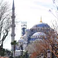 🌟 The Majestic Hagia Sophia 🕌🇹🇷