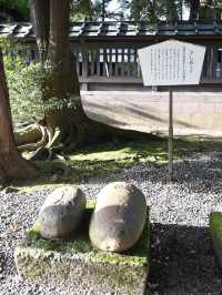【石川】和漢洋の様式が用いられた異色の門が素敵な神社