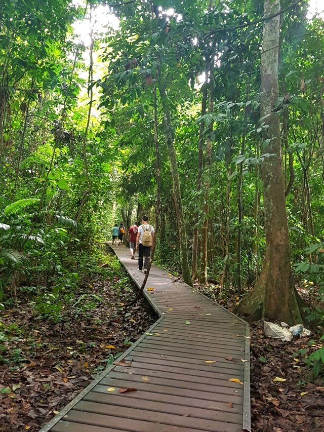 ESCAPE INTO THE WILDERNESS