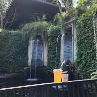 คาเฟ่แม่ริม Fleur Cafe & Eatery