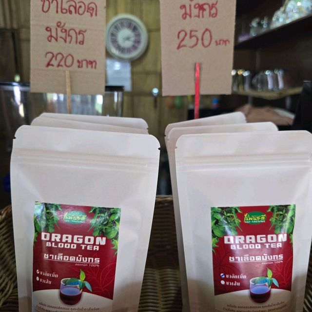 กาแฟปางขอน ร้านแรกของที่นี่!!! 